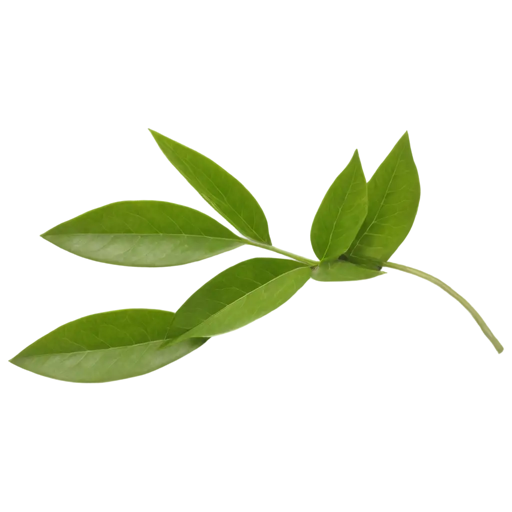 Lemon-Single-Slim-Leaf-PNG-Image-HighQuality-Transparent-Leaf-Design-for-Diverse-Uses
