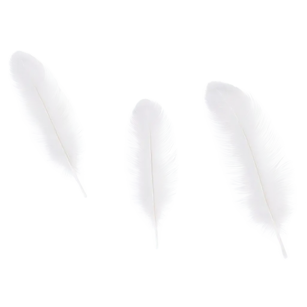 White-Feathers-PNG-Image-Ethereal-Beauty-in-High-Resolution-for-Clear-Transparent-Visuals