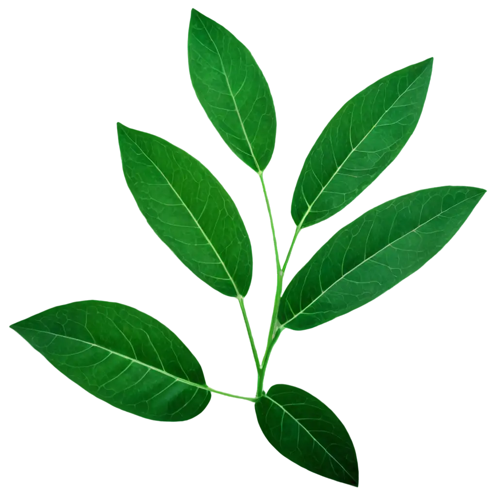 Green-Leaves-Plant-PNG-Fresh-and-Vibrant-Botanical-Illustration