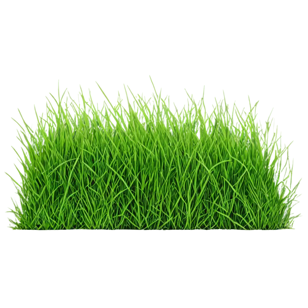 Vivid-Green-Grass-PNG-Fresh-and-Vibrant-Image-of-Lush-Greenery