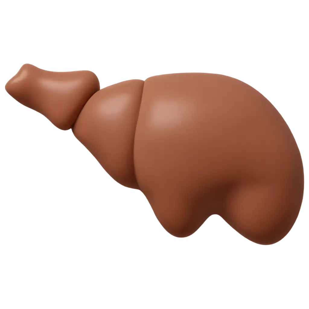 Liver-Anatomically-Correct-Emoji-Style-PNG-for-Clear-and-Detailed-Visual-Representation