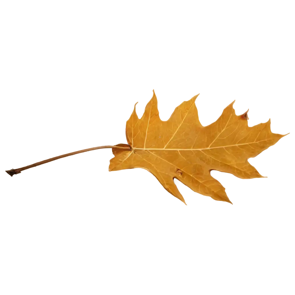 Tree-Leaf-Falling-PNG-HighQuality-Transparent-Image-for-Creative-Use