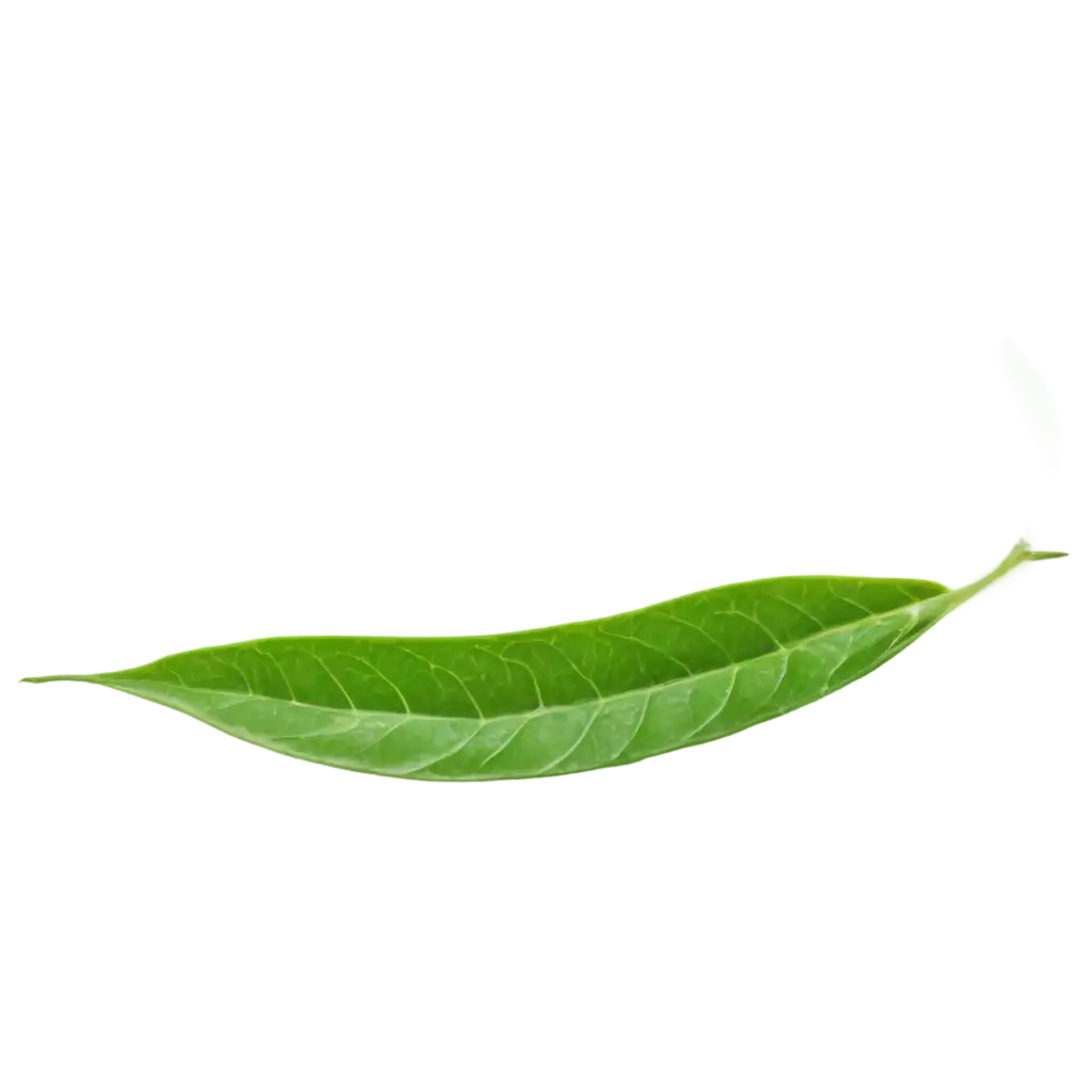 Fresh-Green-Tea-Leaf-PNG-Image-Crisp-and-Clear-Visuals-for-Health-and-Wellness