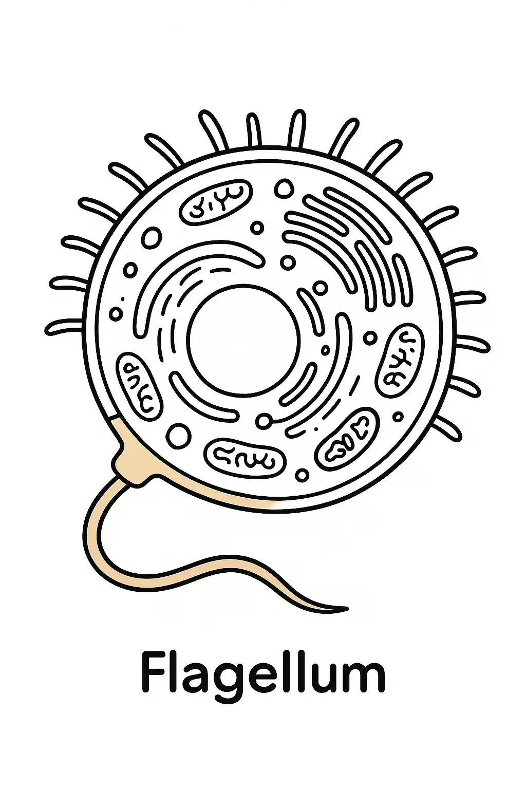 https://file.aiquickdraw.com/imgcompressed/img/compressed_60d44b22af7235fbce86e83559b2ea06.webp