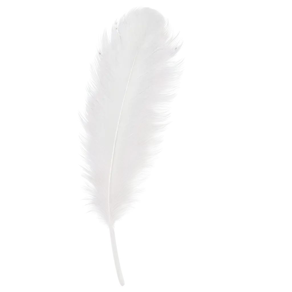 Fluffy-White-Feather-PNG-HighQuality-Image-for-Versatile-Use