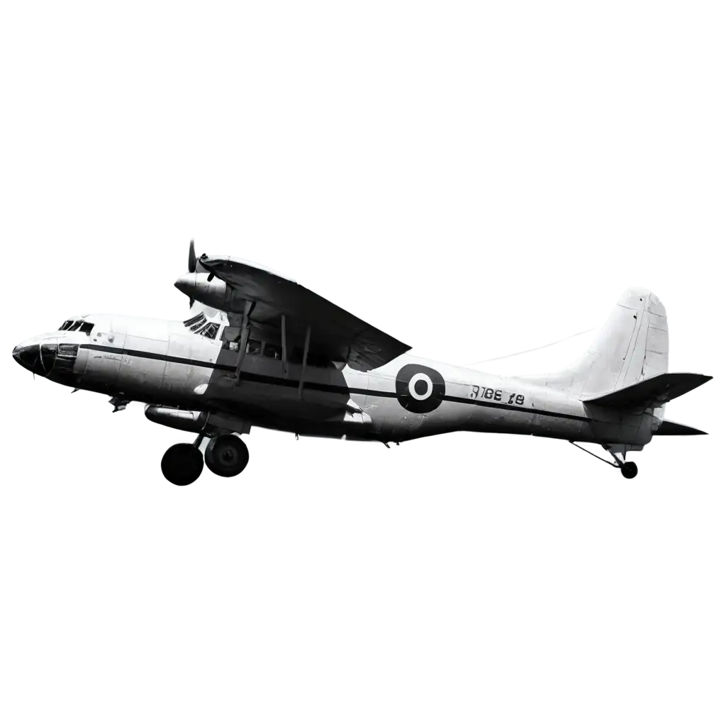 a old plane in black and white realistic