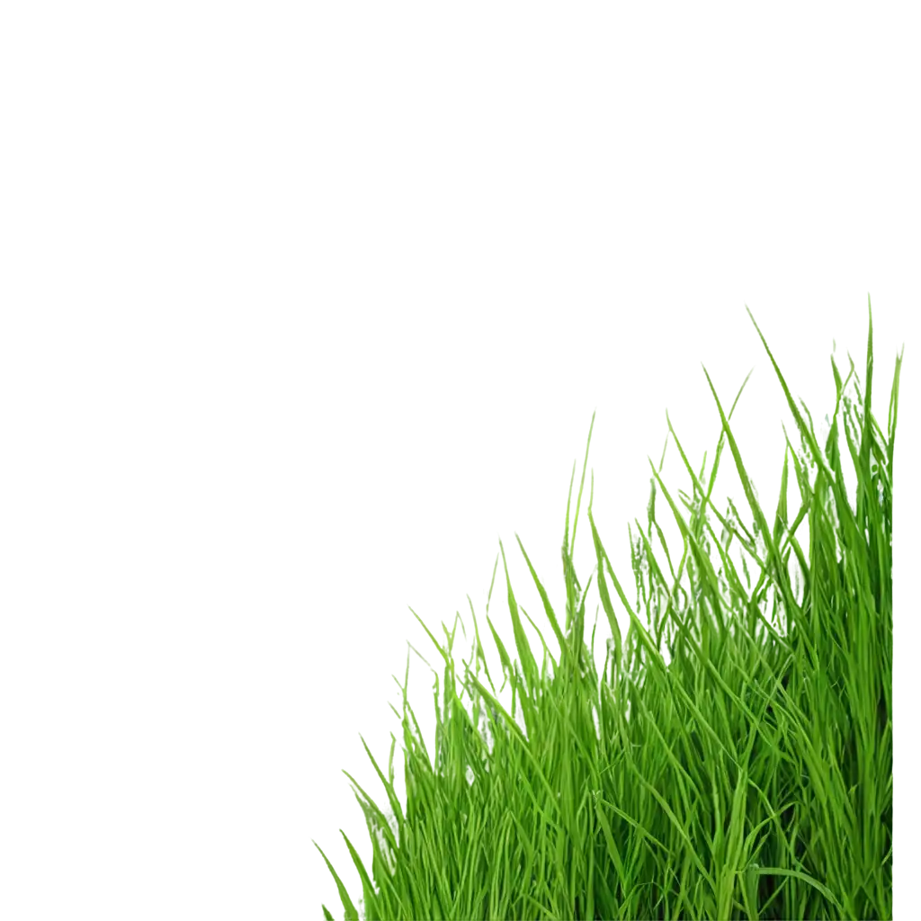 Vibrant-Green-Grass-PNG-Image-Refreshing-Nature-in-High-Quality