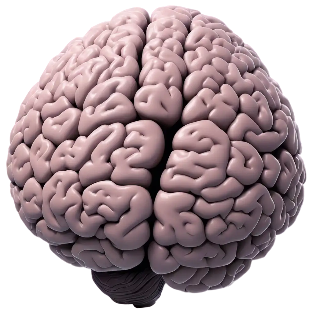 Human-Brain-PNG-Image-Captivating-Clarity-and-Versatility