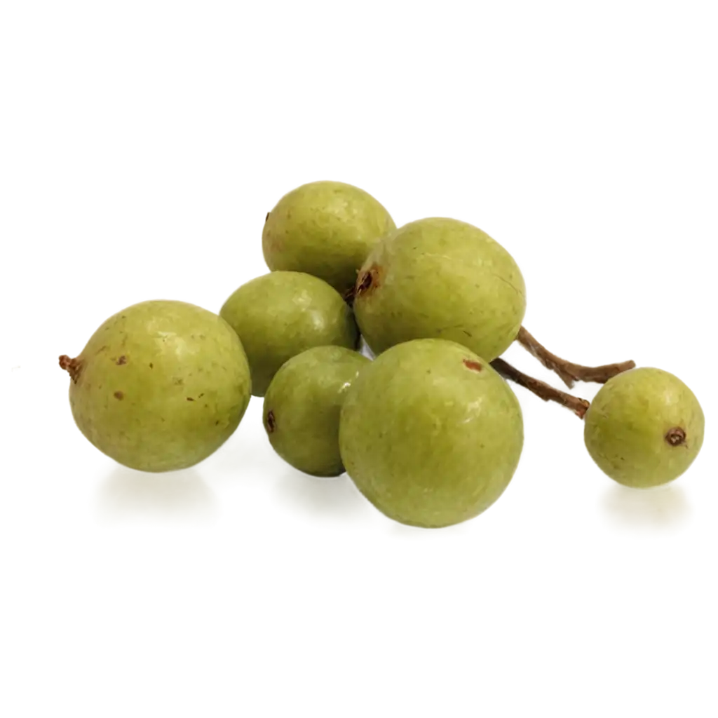 Amla-PNG-Image-Enhancing-Clarity-and-Quality