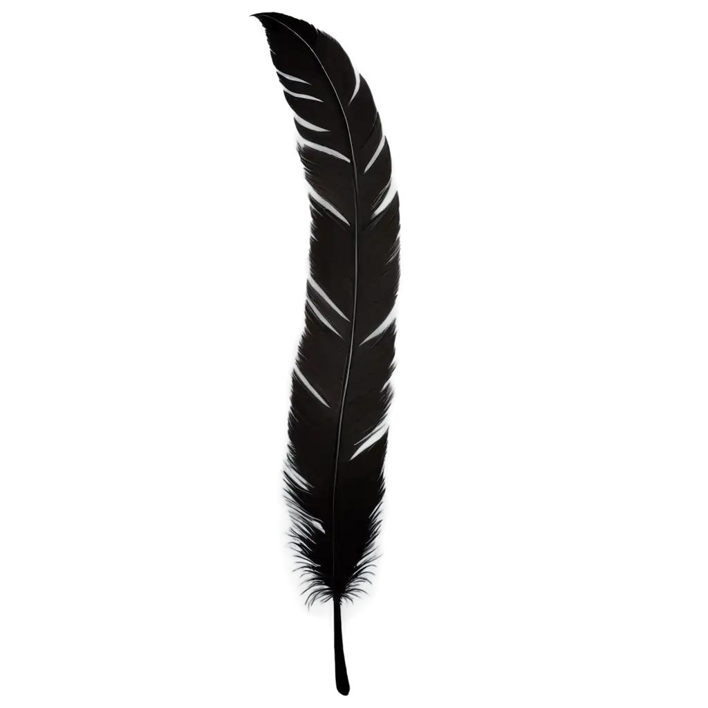 Stunning-Black-Huia-Bird-Feather-PNG-Image