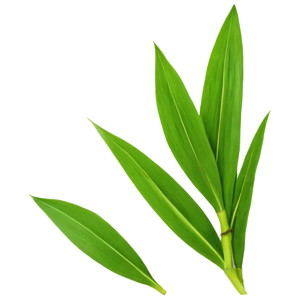 HighQuality-Bamboo-Leaf-PNG-Image-for-Versatile-Creative-Use