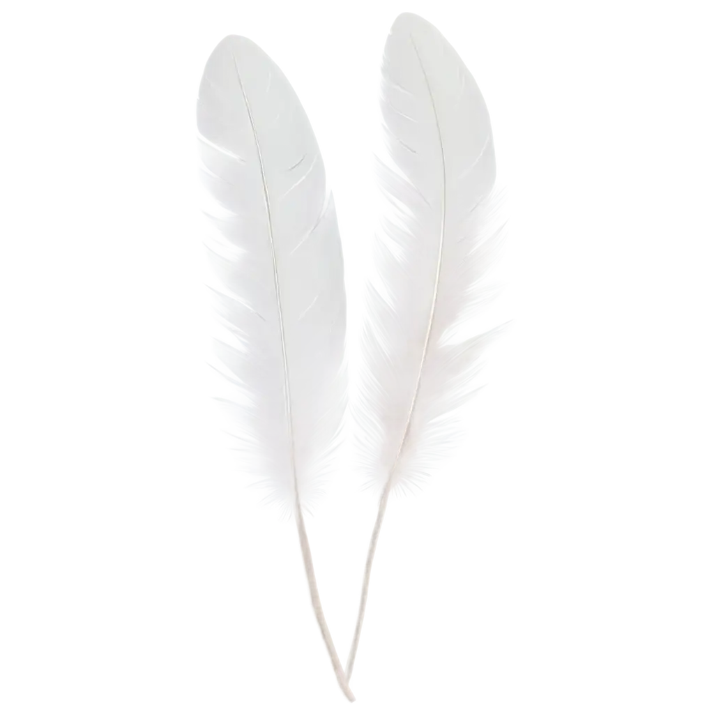 HighResolution-White-Feathers-PNG-Image-Ethereal-Beauty-for-Stunning-Digital-Designs