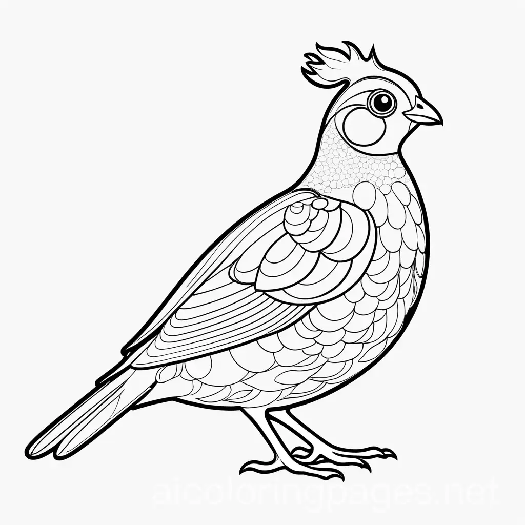 Create a drawing of a happy friendly cartoon character of a quail , with big round eyes ,full body with a white background without gray black shades and borders . image should be clean and clear simple white outline, easy for children to color. Coloring Page, white, line art, white background, Simplicity, Ample White Space. The background of the coloring page is plain white to make it easy for young children to color within the lines. The outlines of all the subjects are easy to distinguish, making it simple for kids to color without too much difficulty, Coloring Page, black and white, line art, white background, Simplicity, Ample White Space. The background of the coloring page is plain white to make it easy for young children to color within the lines. The outlines of all the subjects are easy to distinguish, making it simple for kids to color without too much difficulty