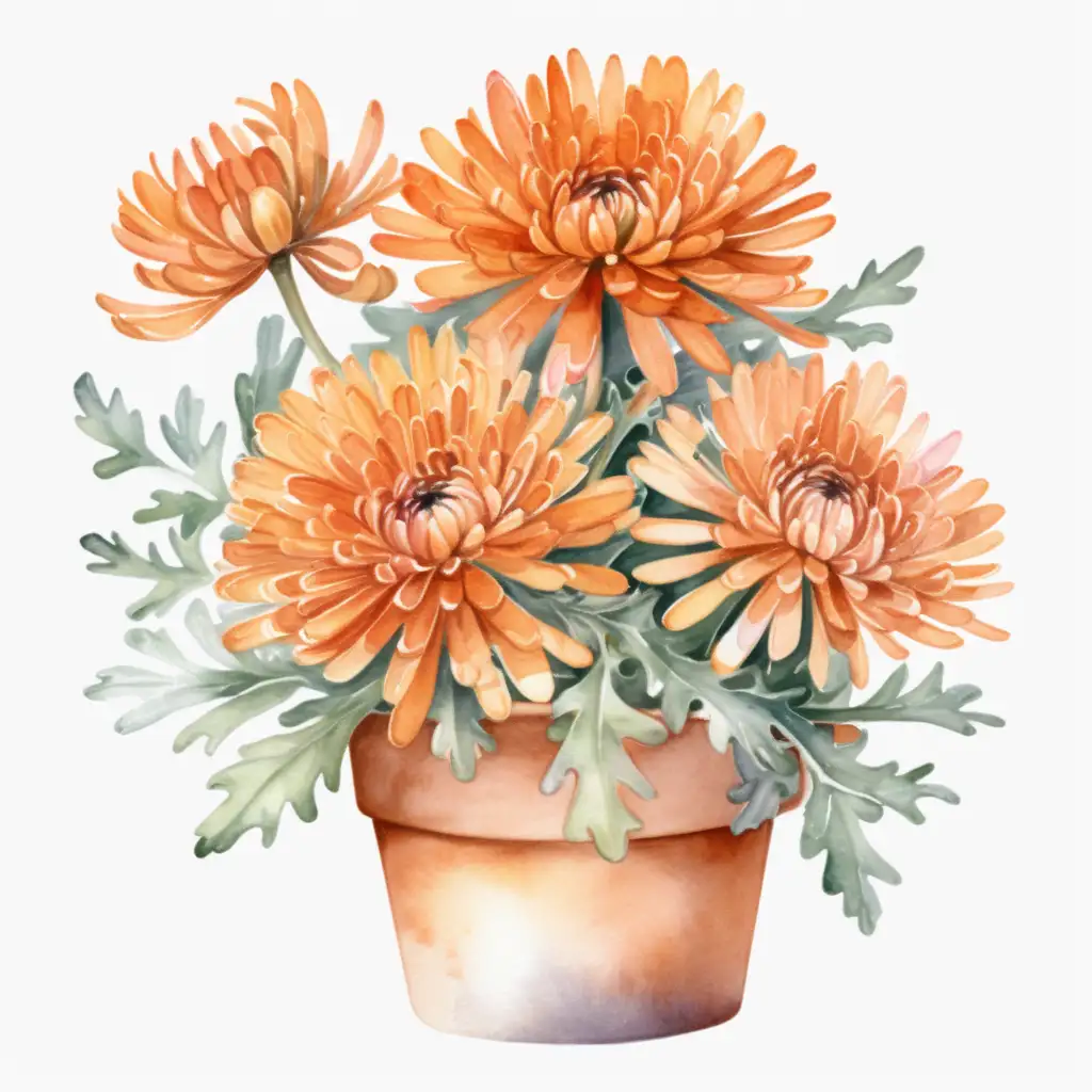 Aesthetic Watercolor Clipart of a Full Potted Orange Mum on White Background