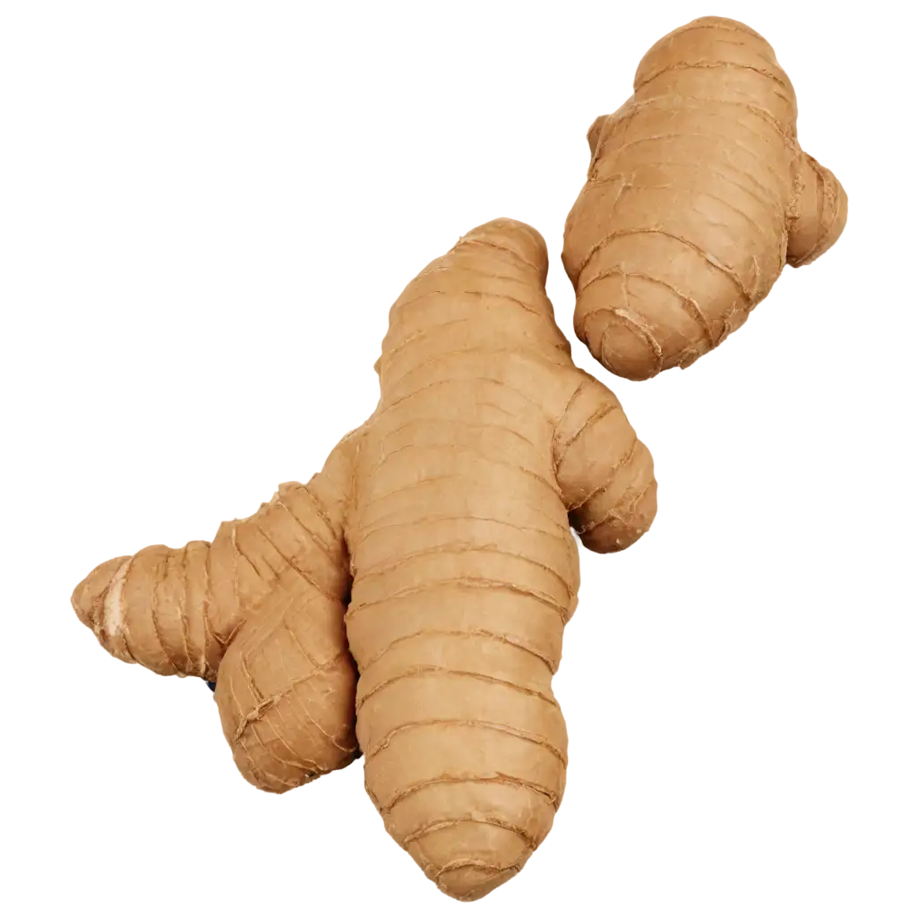 Ginger-PNG-Image-HighQuality-Transparent-Artwork-for-Diverse-Uses