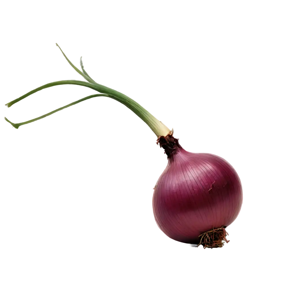 HighQuality-Red-Onion-PNG-Image-for-Culinary-Designs