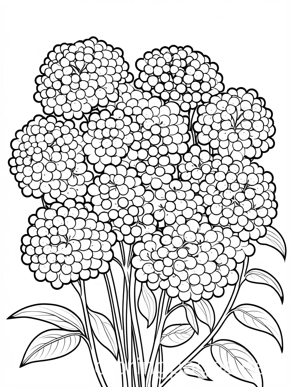 Hydrangea-Coloring-Page-for-Kids-Simple-Line-Art-on-White-Background