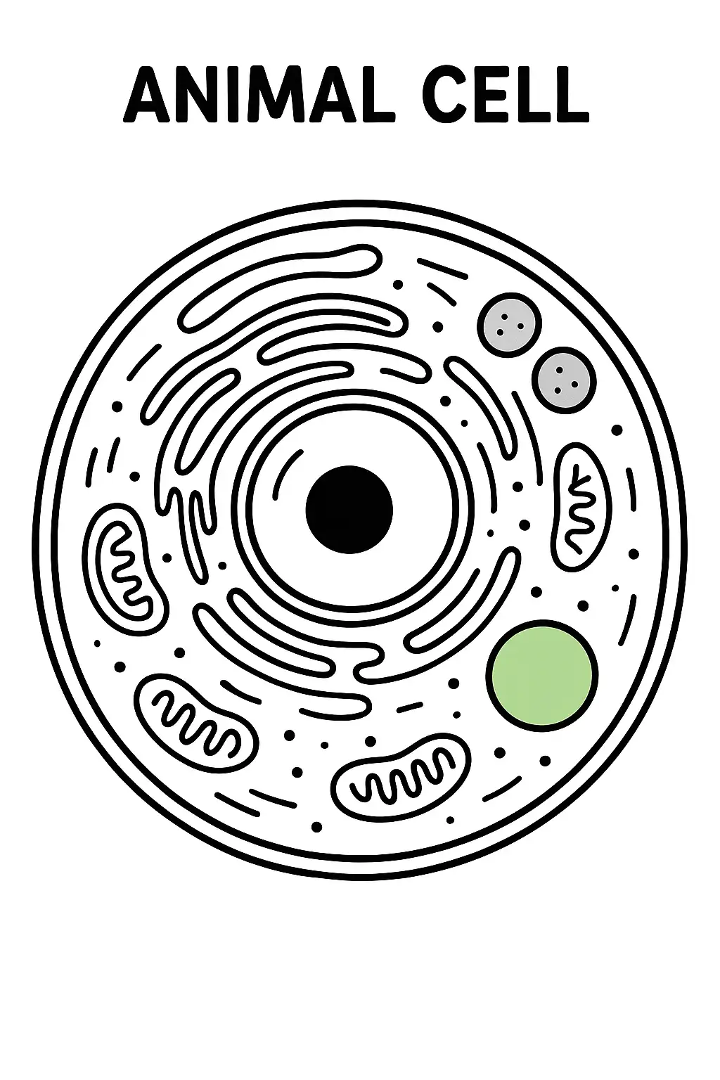 https://file.aiquickdraw.com/imgcompressed/img/compressed_6cc892975883edaaf676dd70961e23c7.webp