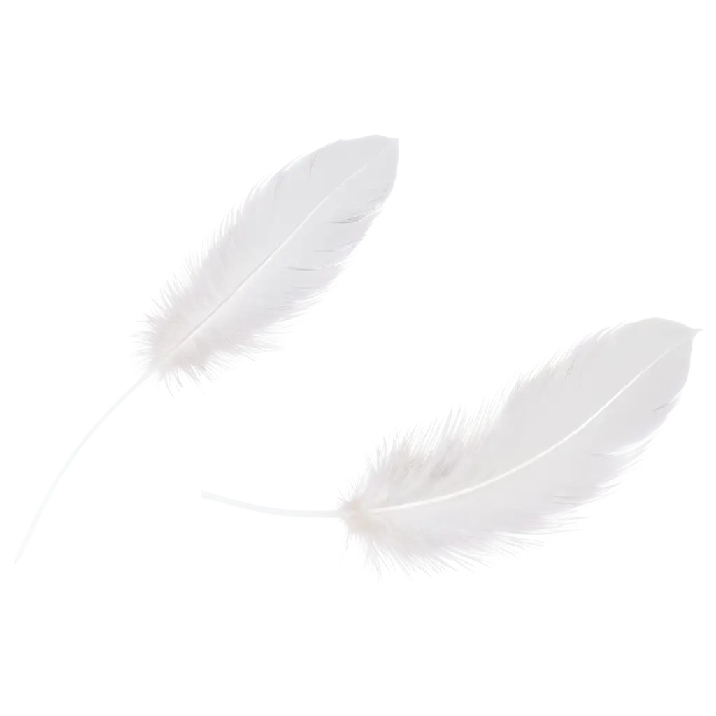 Lightweight-Curvy-White-Feather-PNG-Image-for-Diverse-Applications