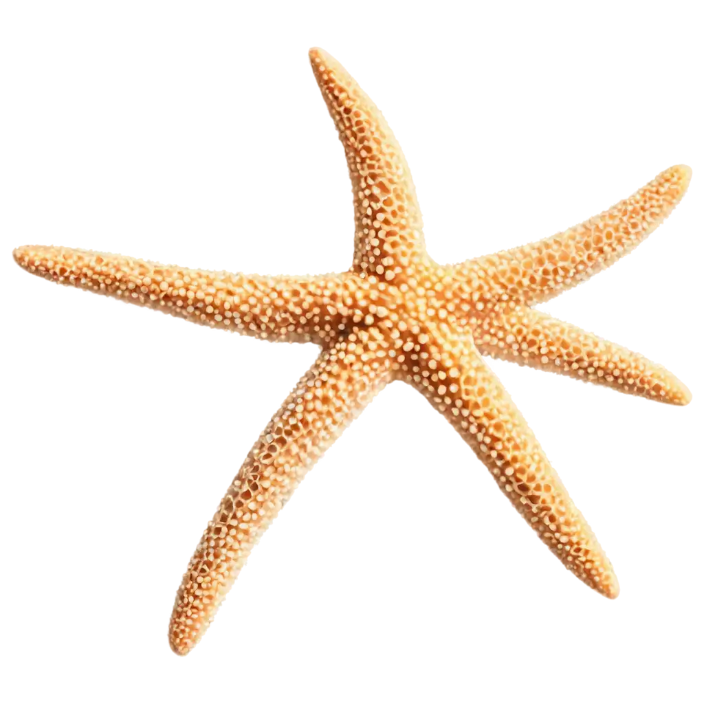 Starfish