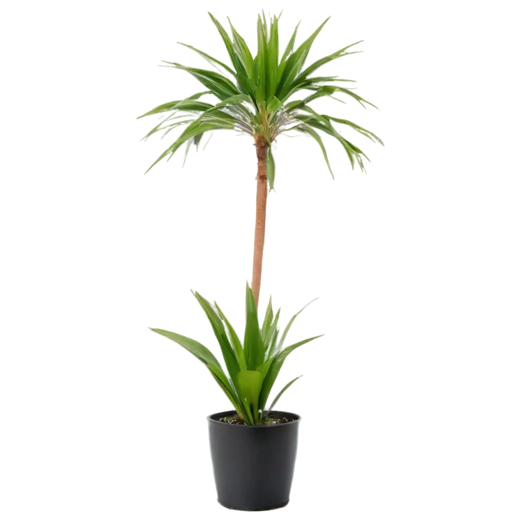 Palm-Tree-Plant-in-Pot-PNG-HighQuality-Image-for-Various-Creative-Uses