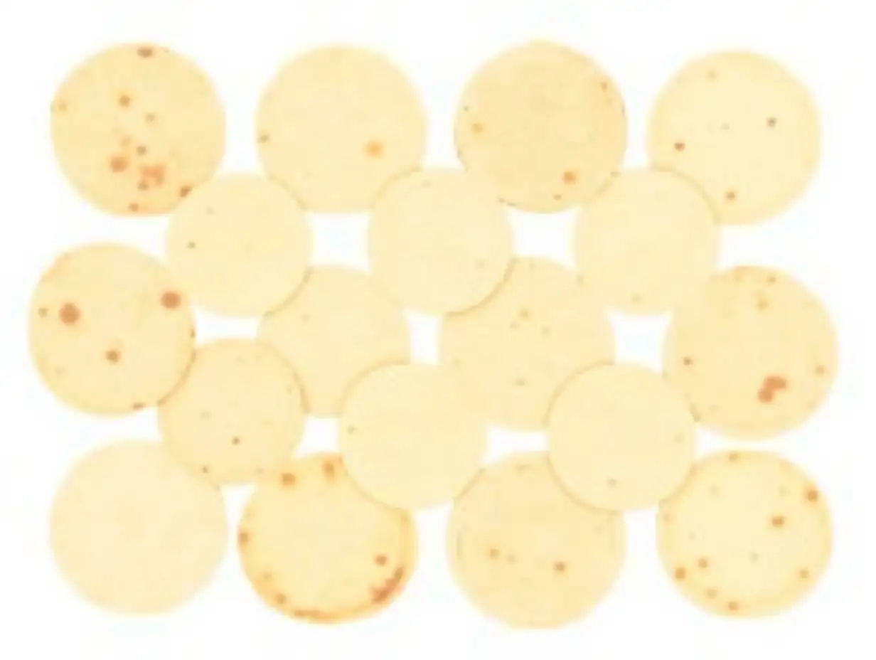 Tortilla tortillas flatbread bread bun on transparent cutout, PNG file. Many assorted different angles, stack, pile, fold. Mockup template for artwork design