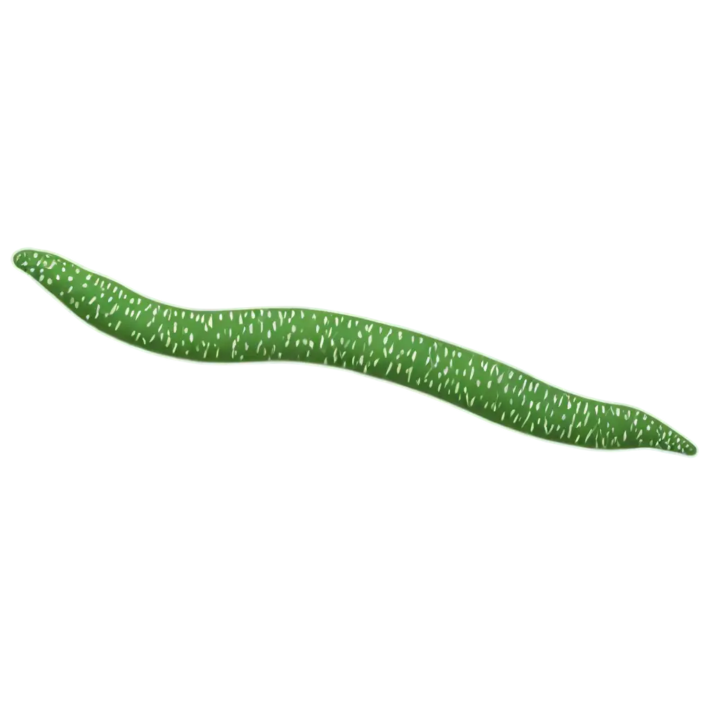 Create-a-HighQuality-PNG-Image-of-a-Planarian