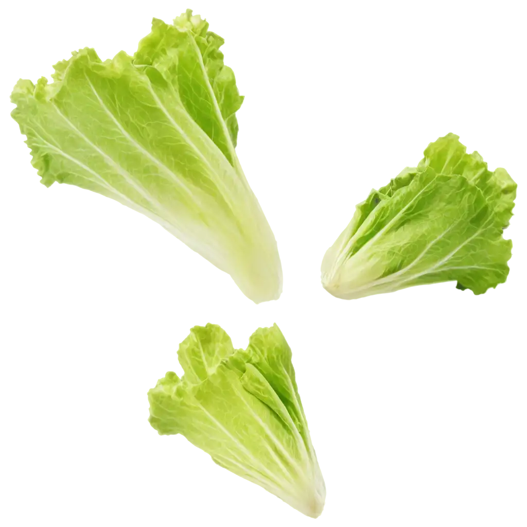 Fresh-Lettuce-PNG-Image-Crisp-and-Vibrant-Visuals-for-Culinary-and-Health-Designs