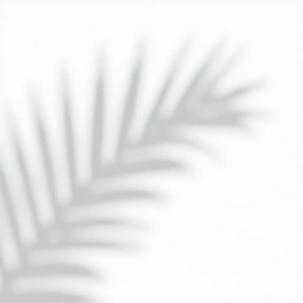 Shadow-of-Palm-Leaves-on-White-Background