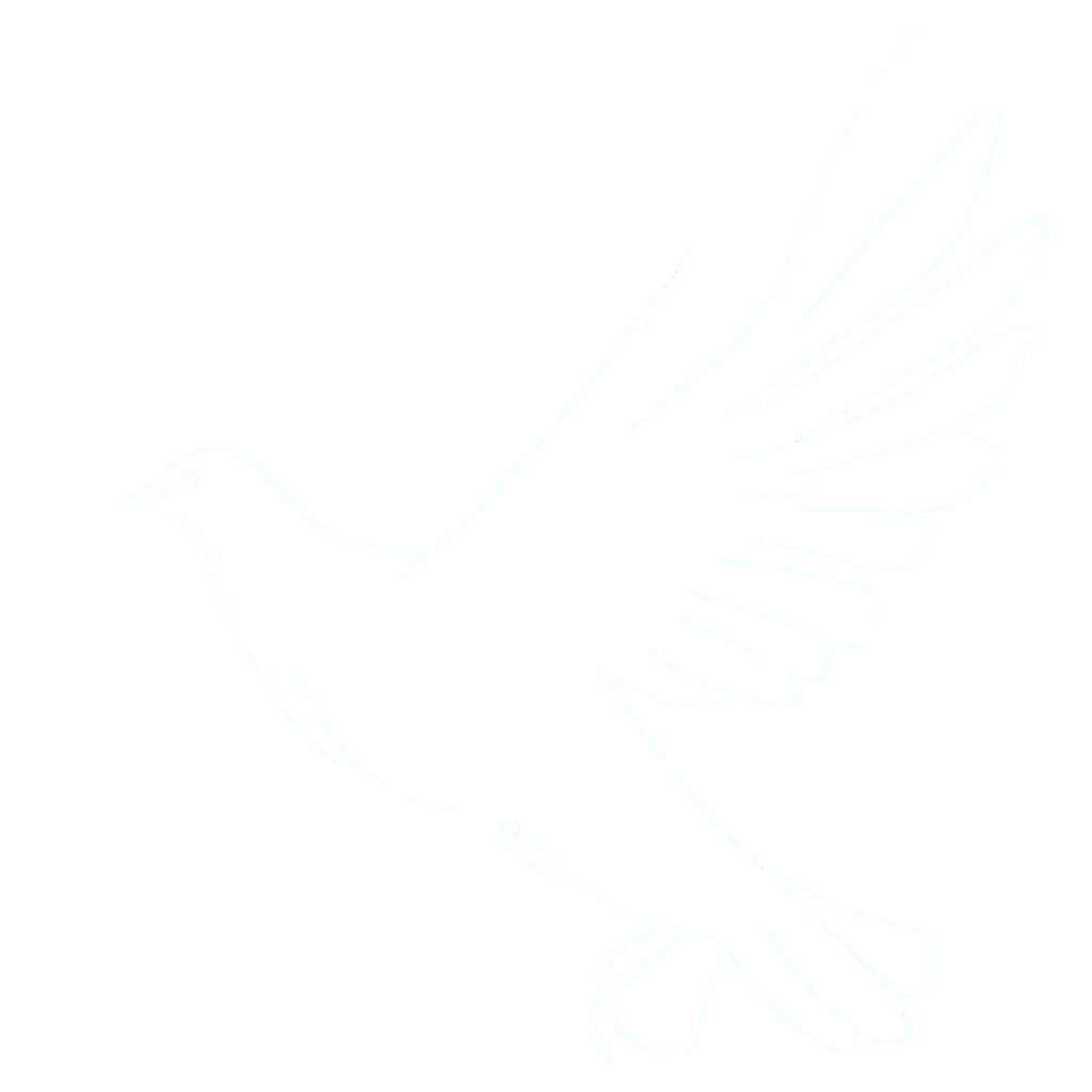 Detailed-Drawing-of-a-White-Dove-in-PNG-Format