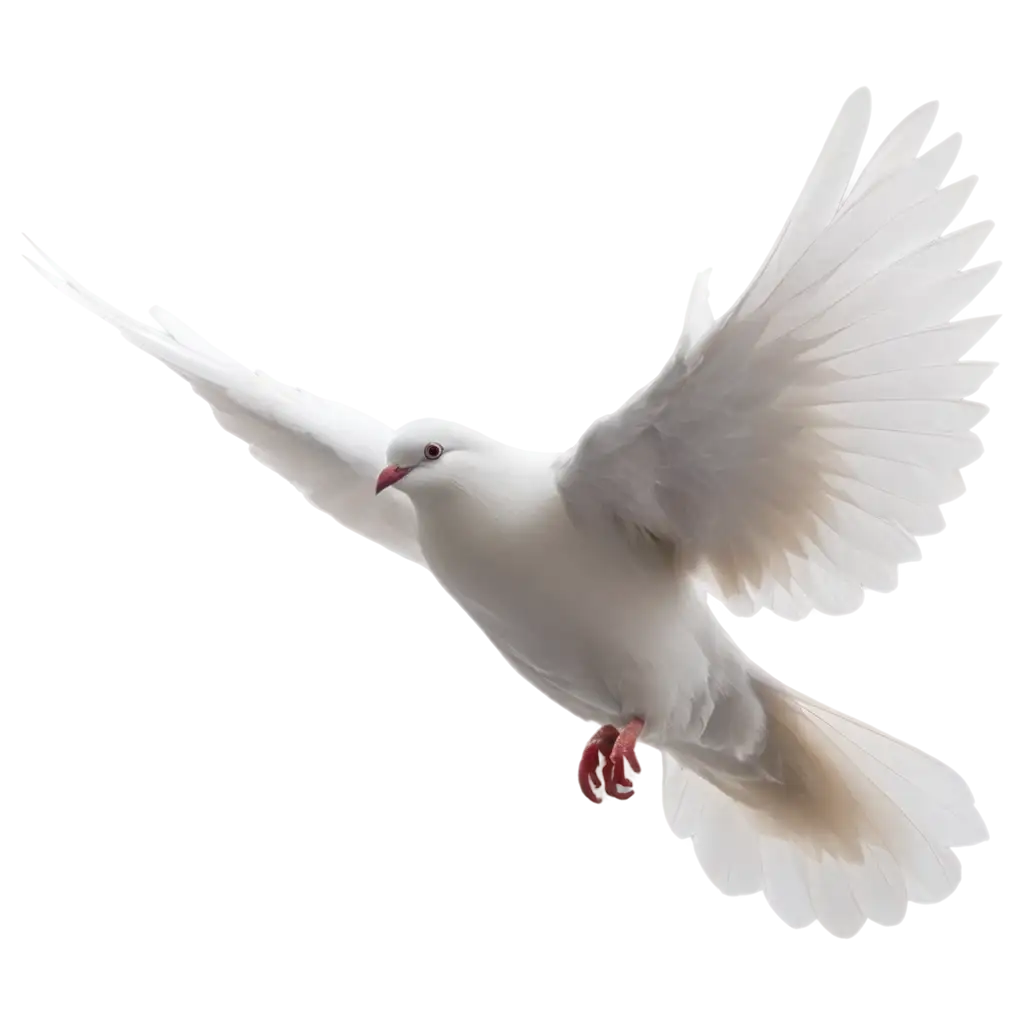 HighQuality-White-Pigeon-Flying-PNG-for-Versatile-Artistic-Applications