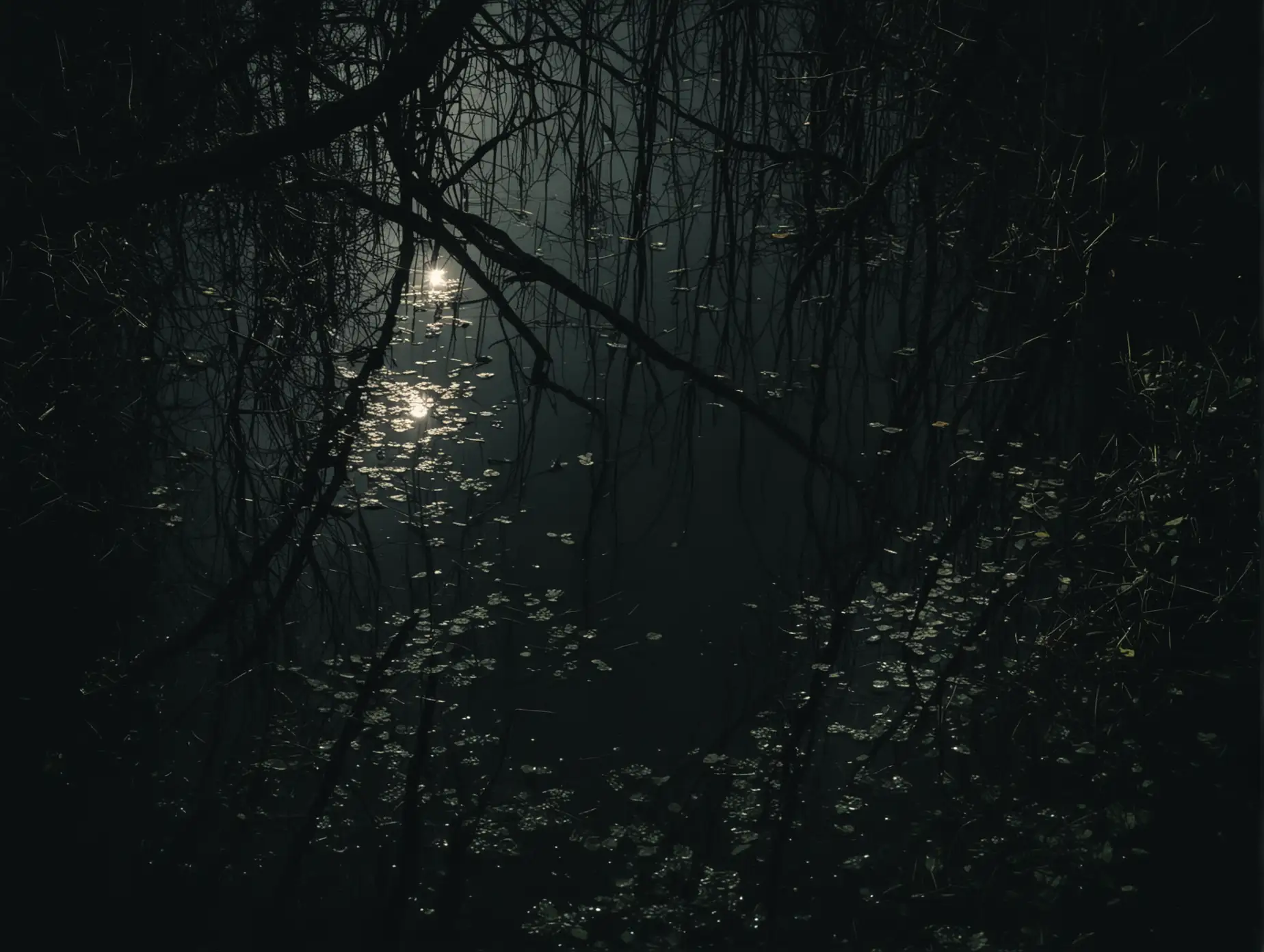 dark, swampy water, light reflection at night, top angle, cinematic aesthetic, diffused lighting, cinematic style, ethereal atmosphere, 55mm lens, grainy noise