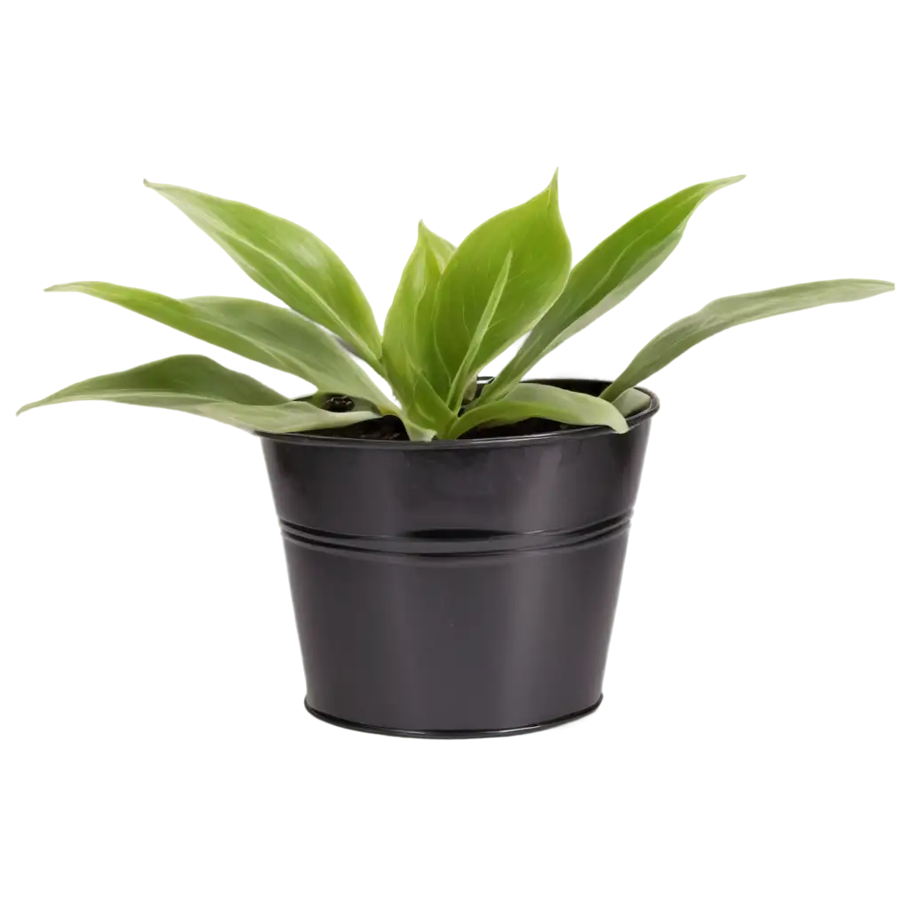 Bucket-Plant-PNG-Image-Ideal-for-Gardening-and-NatureThemed-Projects