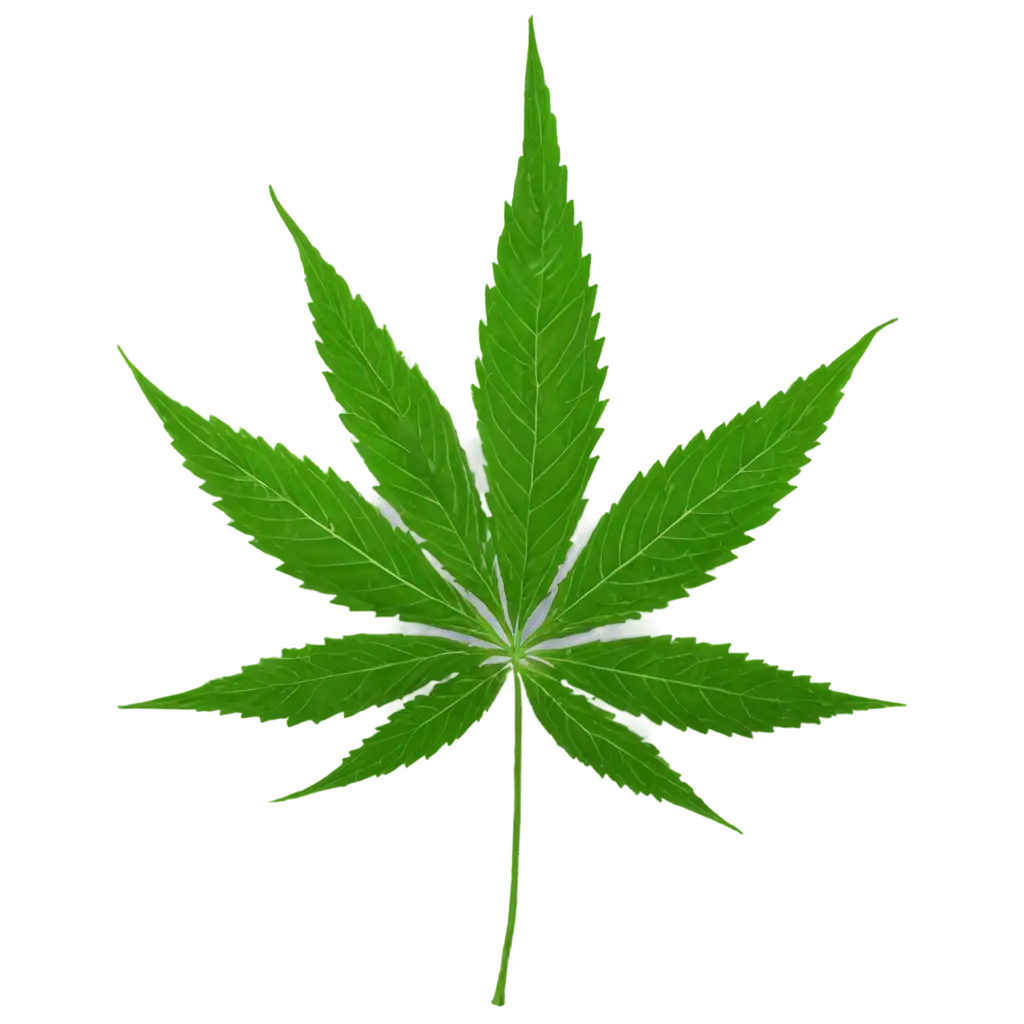 SEOOptimized-PNG-Image-of-Cannabis-Enhance-Online-Presence