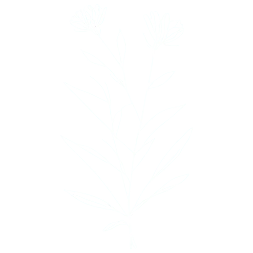 Linear-Illustration-of-Drawn-Flowers-Branches-and-Leaves-PNG-Image-Creation