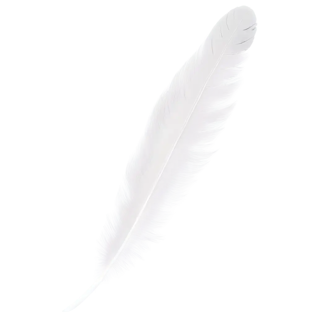 HighResolution-White-Feathers-PNG-Image-for-Ethereal-Beauty-and-Clarity