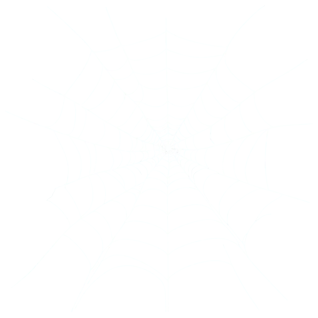 Minimalist-Vector-OneLine-Art-Spider-Web-Designs-PNG-Image