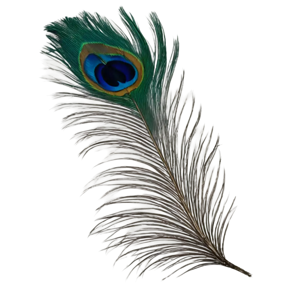 peacock feather piece 1