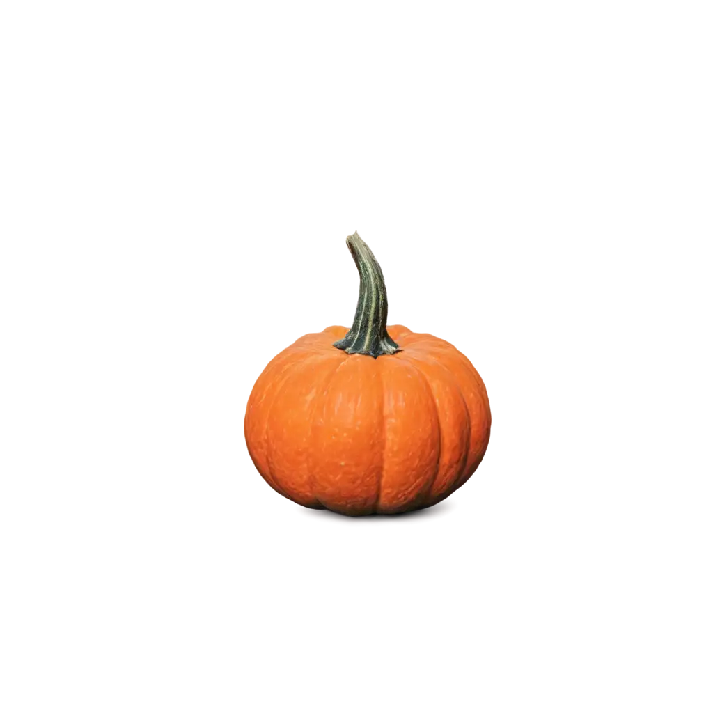 HighQuality-Pumpkin-PNG-Image-for-Versatile-Use-in-Digital-Art-and-Design