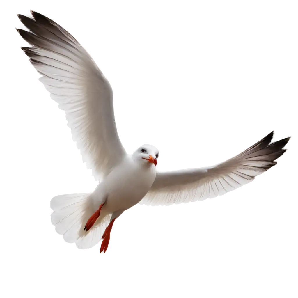 HighQuality-Seagull-Flying-PNG-Image-for-Creative-Projects