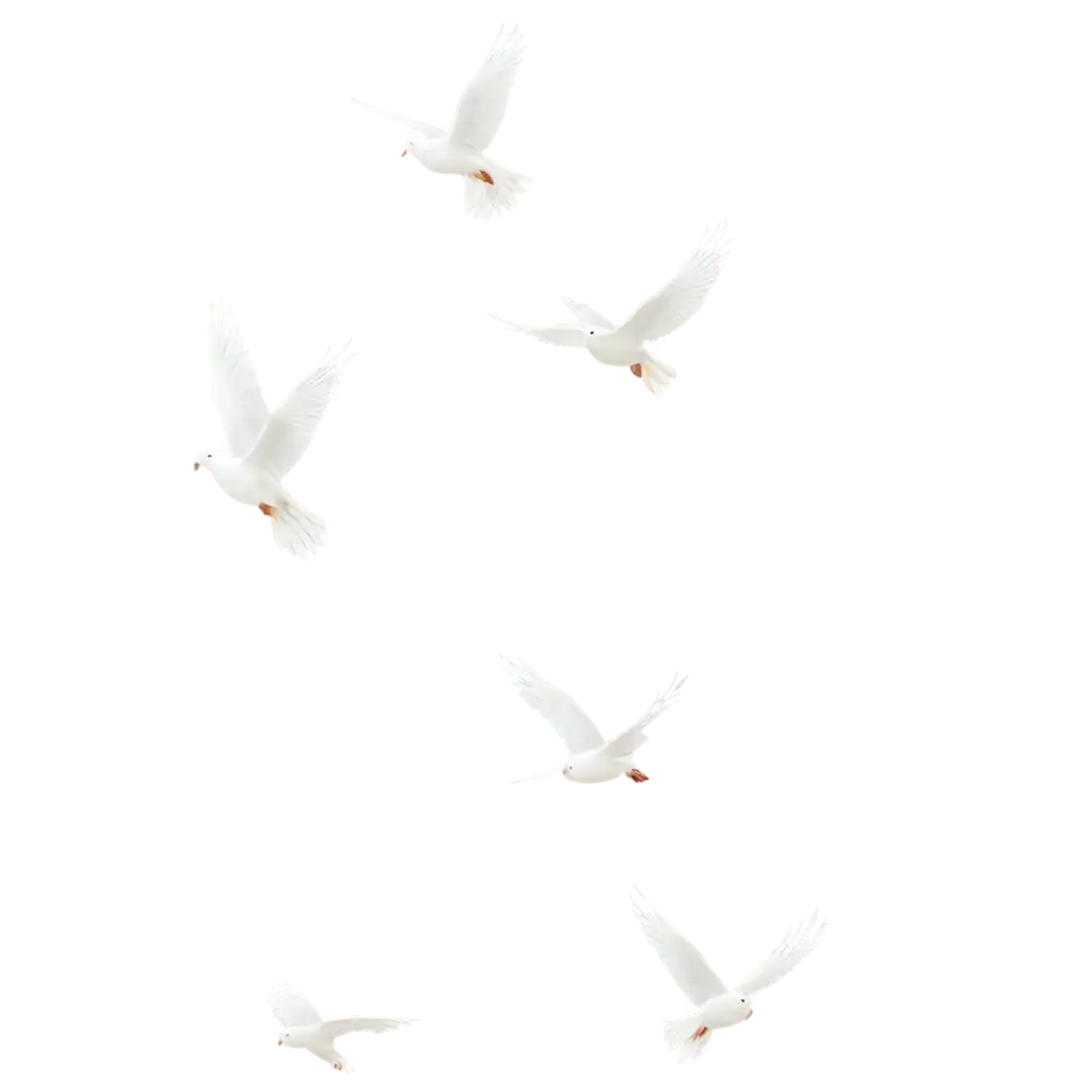 Majestic-White-Flock-of-Birds-Flying-in-Scenic-PNG-Landscape