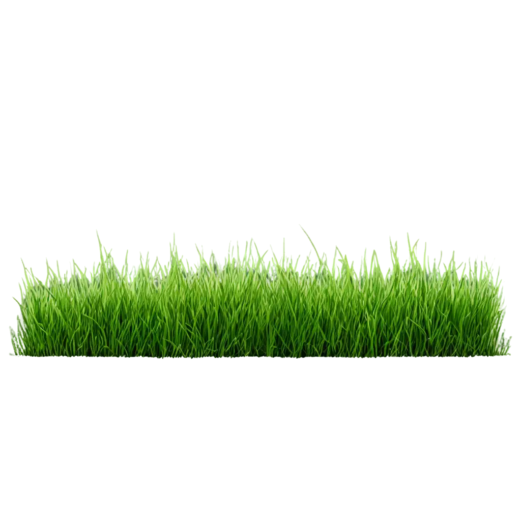 HighQuality-Grass-PNG-Image-for-Versatile-Design-Applications