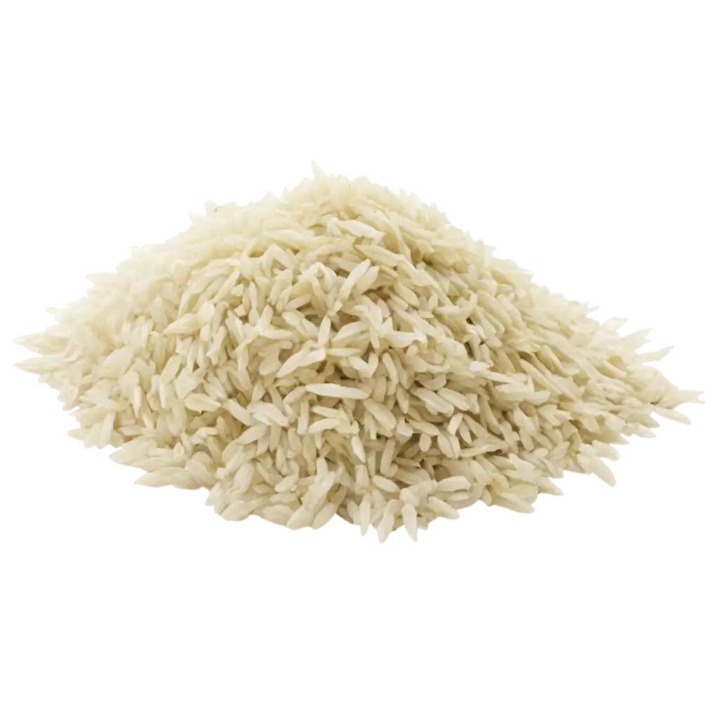 HighQuality-Rice-PNG-Image-for-Culinary-and-Design-Applications