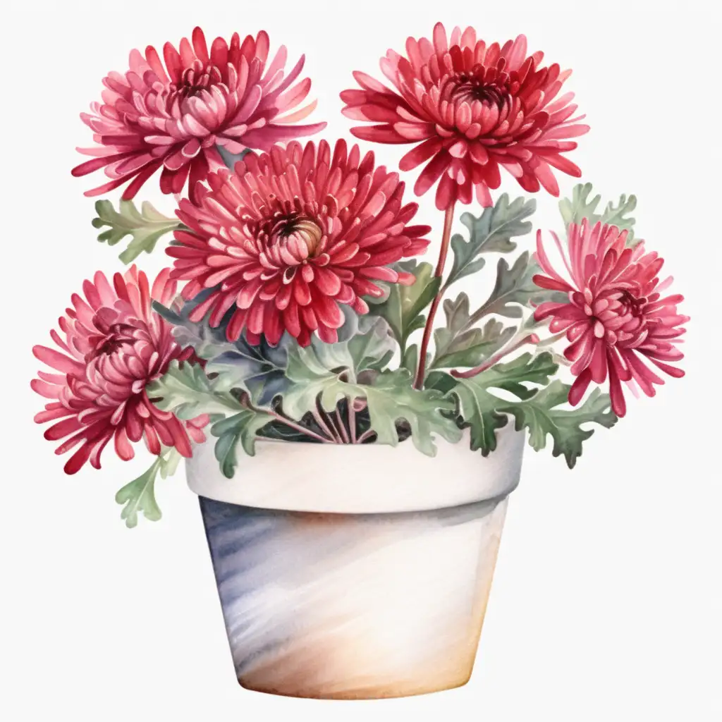 Aesthetic Watercolor Clipart of Full Potted Red Mum on White Background