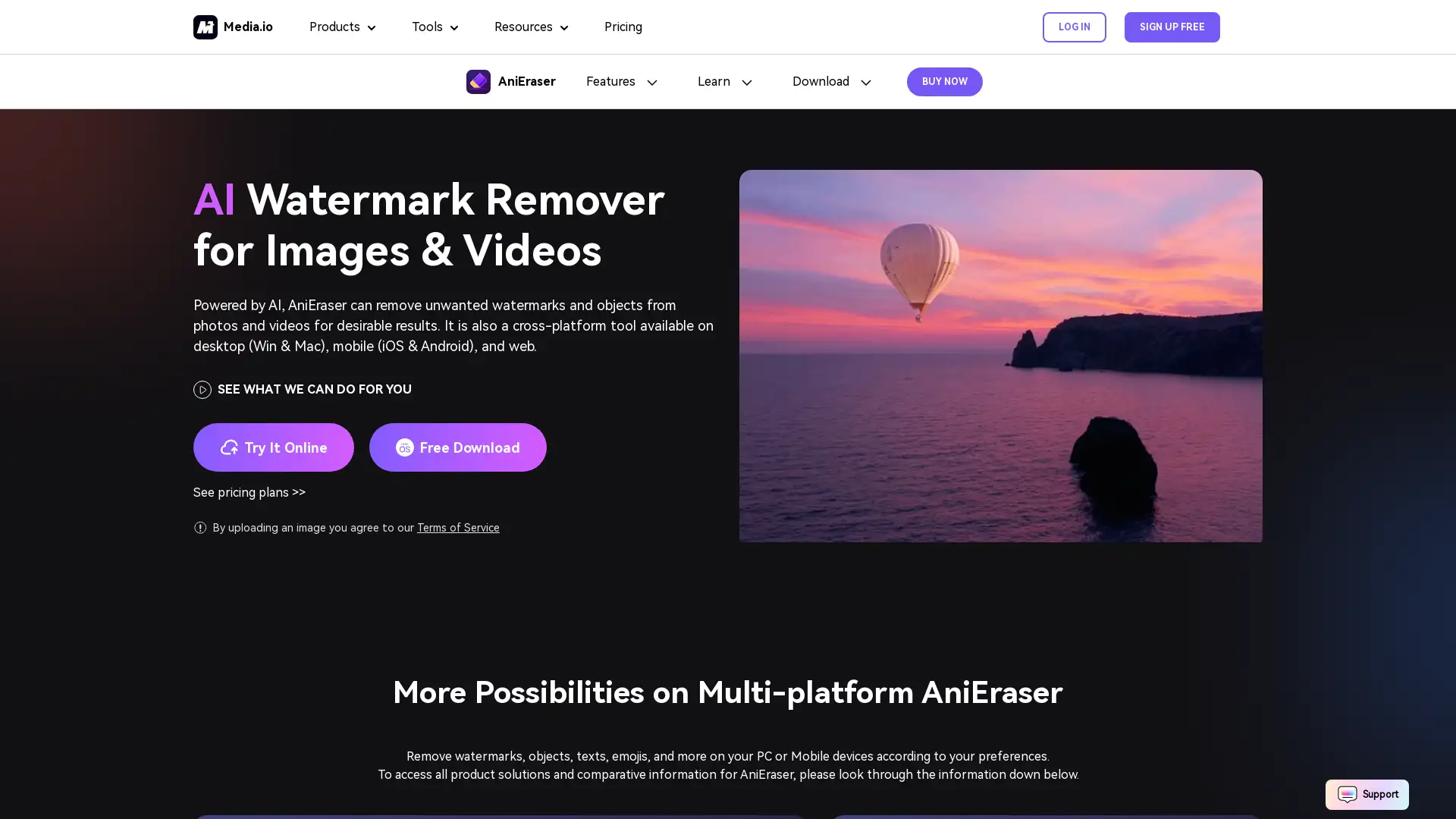 Effortlessly remove unwanted elements from images and videos.