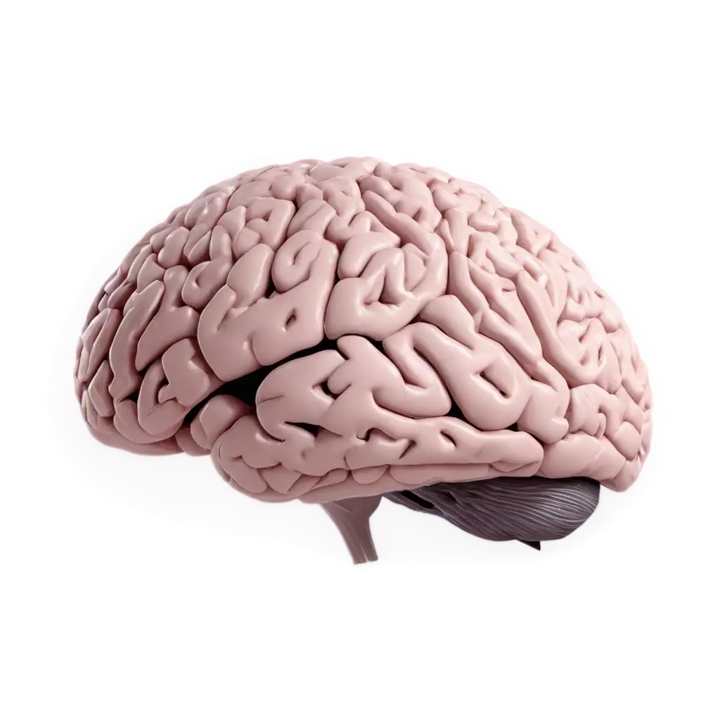 HighQuality-Brain-PNG-Image-for-Diverse-Applications