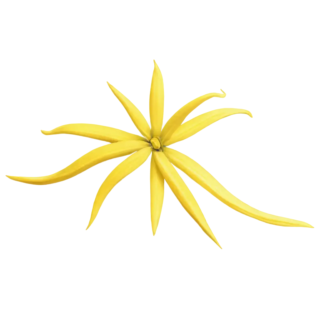 YlangYlang-PNG-Image-A-Stunning-Floral-Illustration-for-Diverse-Creative-Uses