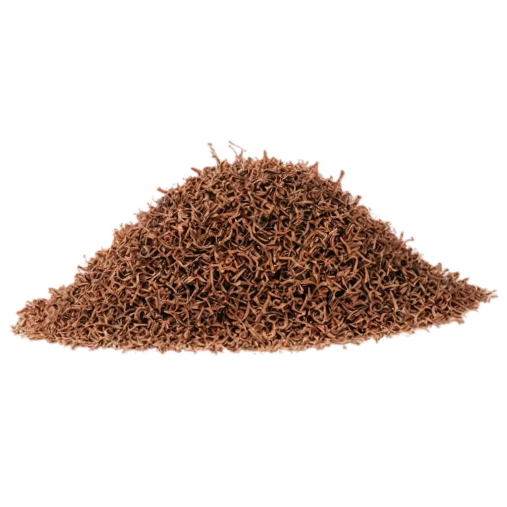 HighQuality-Transparent-PNG-of-an-Anthill-Enhance-Your-Visual-Content-with-Clarity-and-Detail