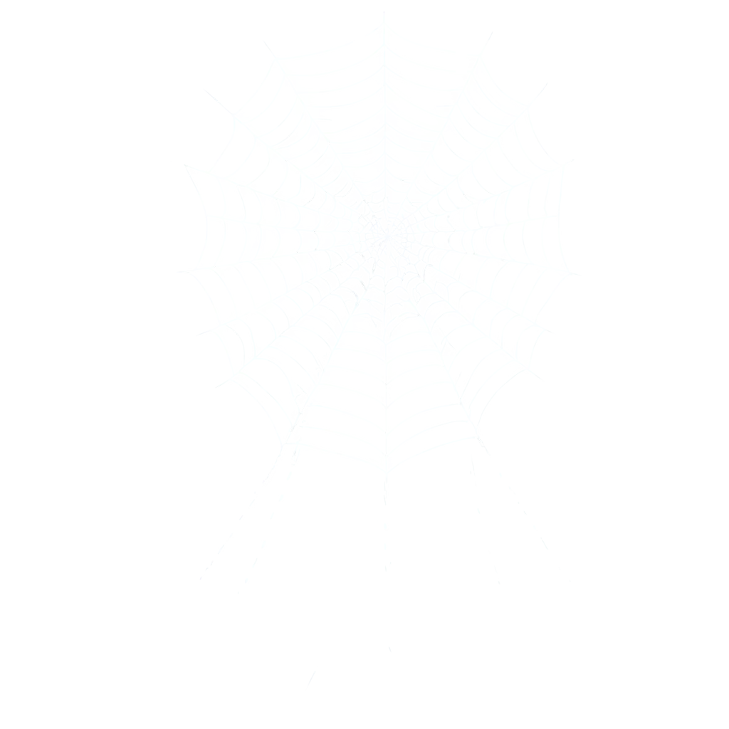 Spider-Web-in-the-Corner-2D-PNG-for-Transparent-and-Versatile-Designs