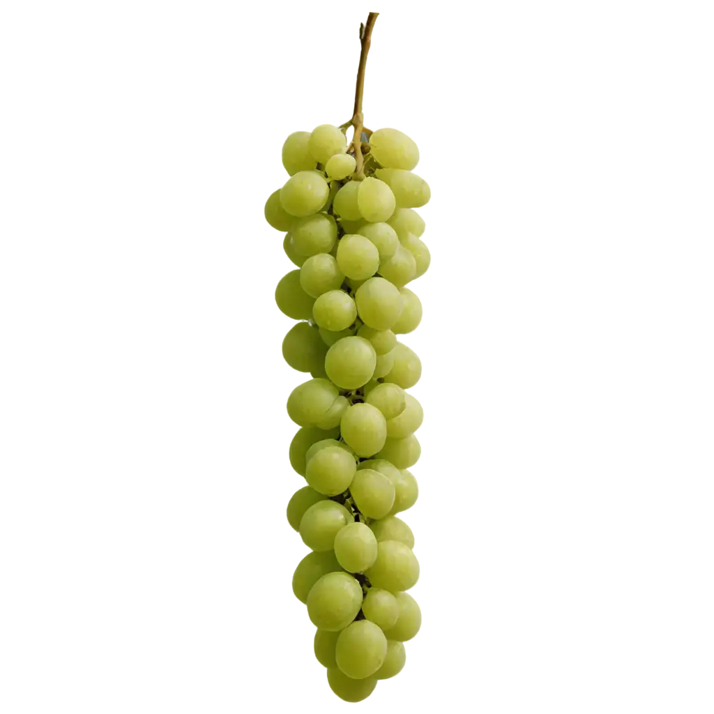 HighQuality-Green-Grape-PNG-Image-for-Versatile-Use